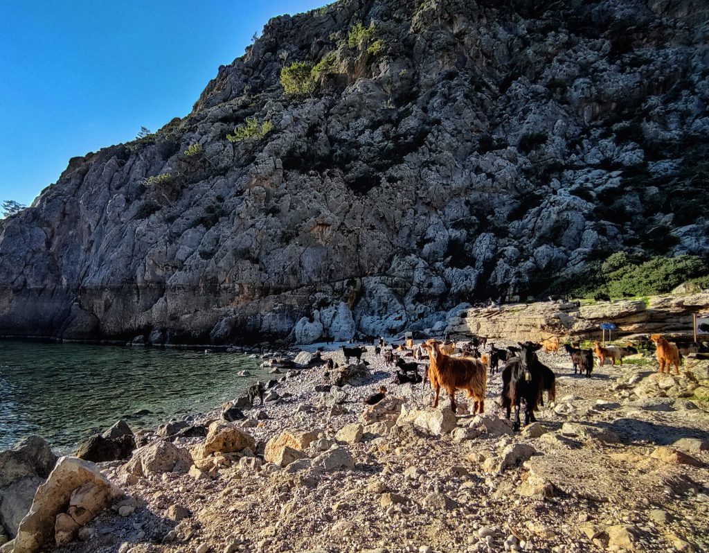 Sougia, Crete